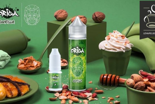 Gorilla par Origa