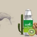 Kiwi Cactus (Gamme Classique) par BordO2