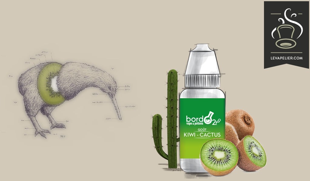 Kiwi Cactus (Gamme Classique) par BordO2