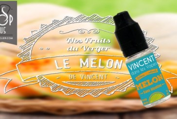 Melon (Gamme Les Incontournables) par Vincent Dans Les Vapes