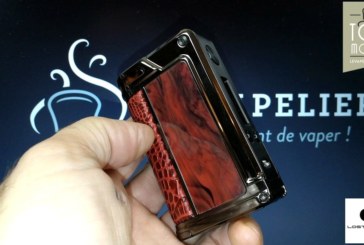 Paranormal DNA166 par Lost Vape