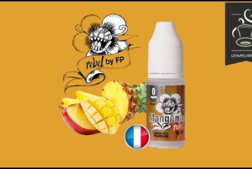 Manganas (Gamme Rebel by FP) par Flavour Power