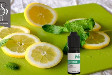 Menthe (gamme Minimal) par FUU