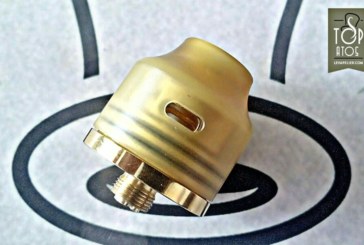 Wasp Nano par Oumier