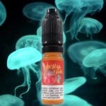 Jelly Fish ( Gamme Premium) par Bordo2