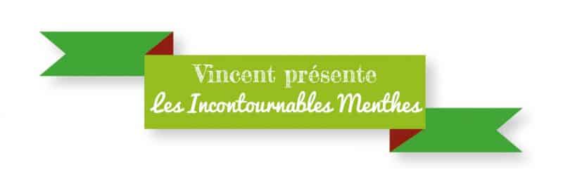 Menthe Glaciale (Gamme Les Incontournables Menthes) par Vincent Dans Les Vapes - 1