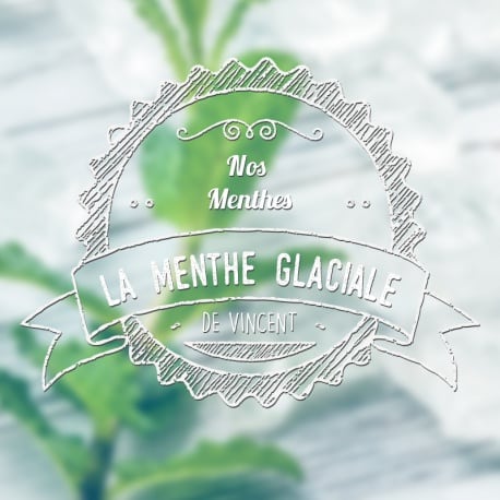 Menthe Glaciale (Gamme Les Incontournables Menthes) par Vincent Dans Les Vapes - 4