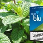Menthol (gamme myblu) par blu