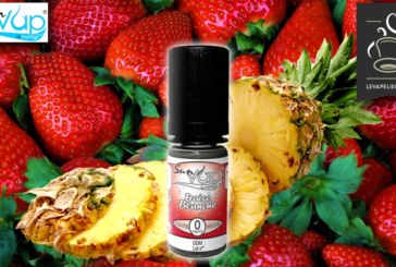 Fraise Blanche (Gamme SunVap) par Myvap