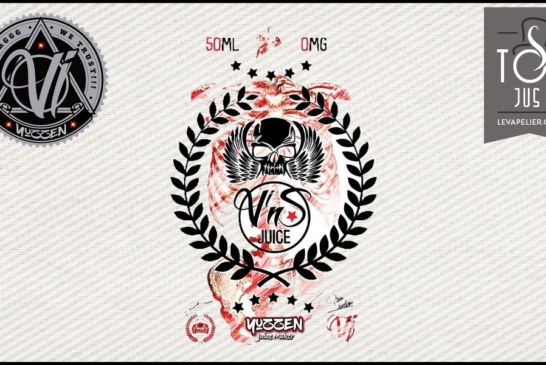 V’nS Juice par Vape Institut