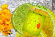Citron – Mangue (Gamme Haiku) par Le Vaporium