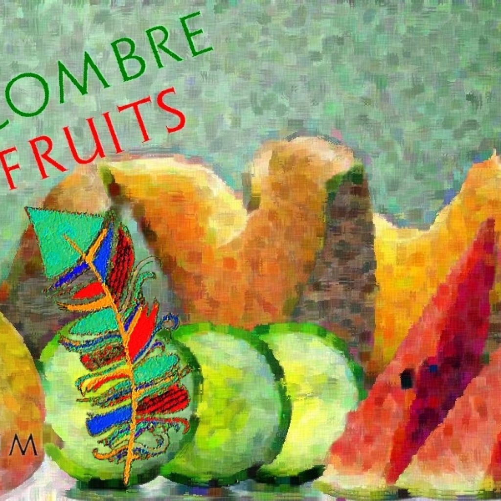Concombre & Fruits (Gamme Haiku) par Le Vaporium