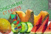Concombre & Fruits (Gamme Haiku) par Le Vaporium