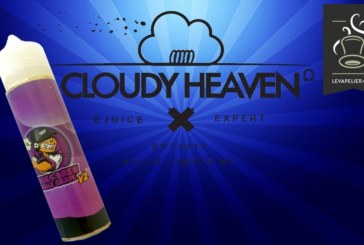 Double Grape V2 (Gamme Senses Brew) par Cloudy Heaven