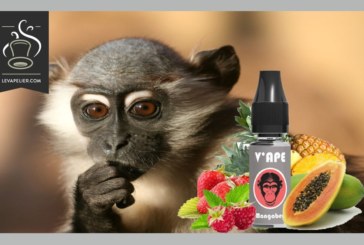 Mangabey (Gamme Grey) par V’APE