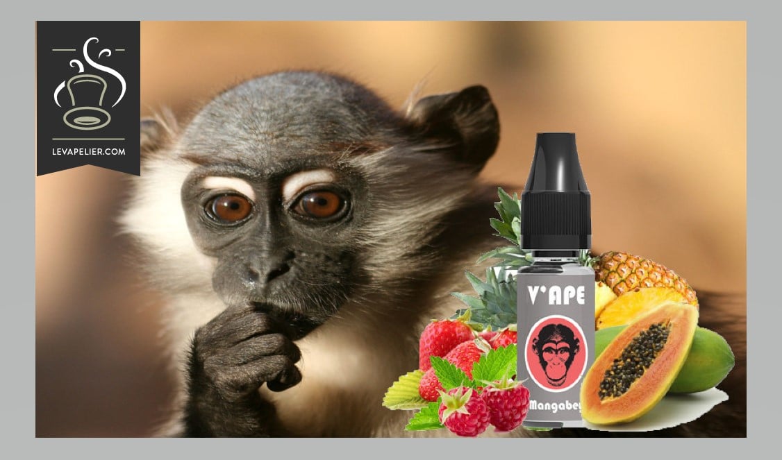 Mangabey (Gamme Grey) par V’APE