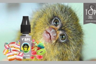 Ouisti Fruity (gamme Grey) par V’APE
