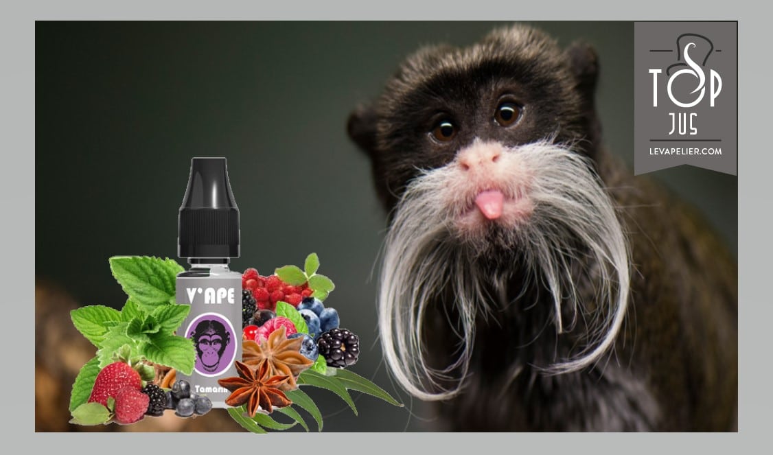 Tamarin (Gamme Grey) par V’APE