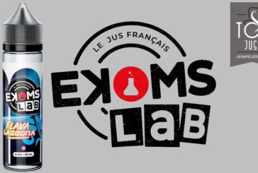 Flava Lagoona (Gamme Ekoms Lab) par Ekoms