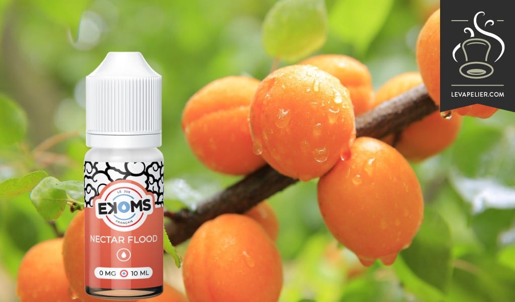 Nectar Flood (Gamme Saveurs) par Ekoms