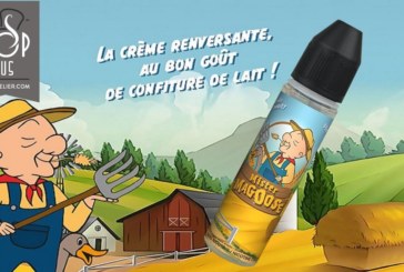 Mister Magoose par C-liquide France