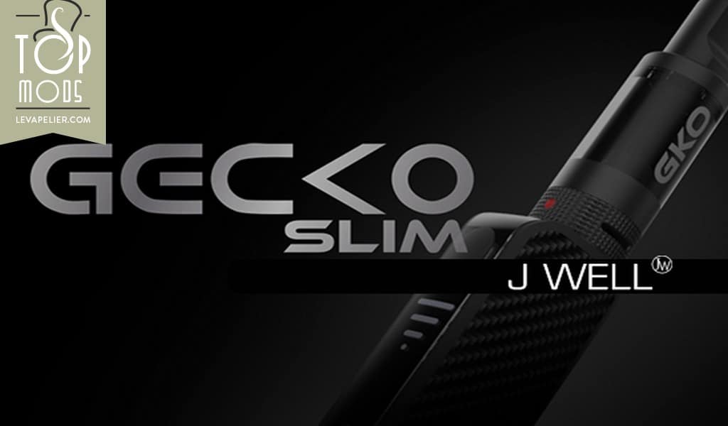 Gecko Slim par JWell
