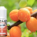 Nectar Flood (Gamme Saveurs) par Ekoms