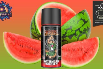 Watermelon Honeydew (Gamme Pico Fizz) par My’s Vaping France