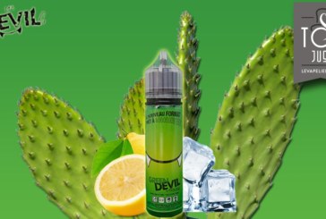 Green Devil (Gamme Les Devils) par C LIQUIDE FRANCE