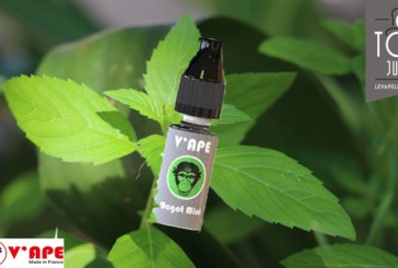 Magot Mint (Gamme Gey) par V’ape