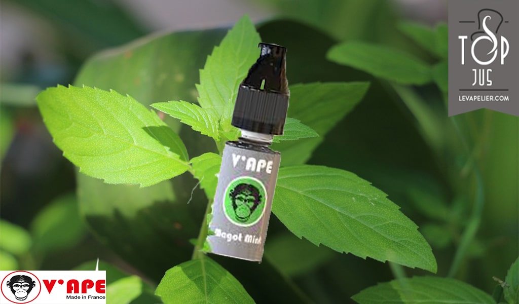 Magot Mint (Gamme Gey) par V’ape