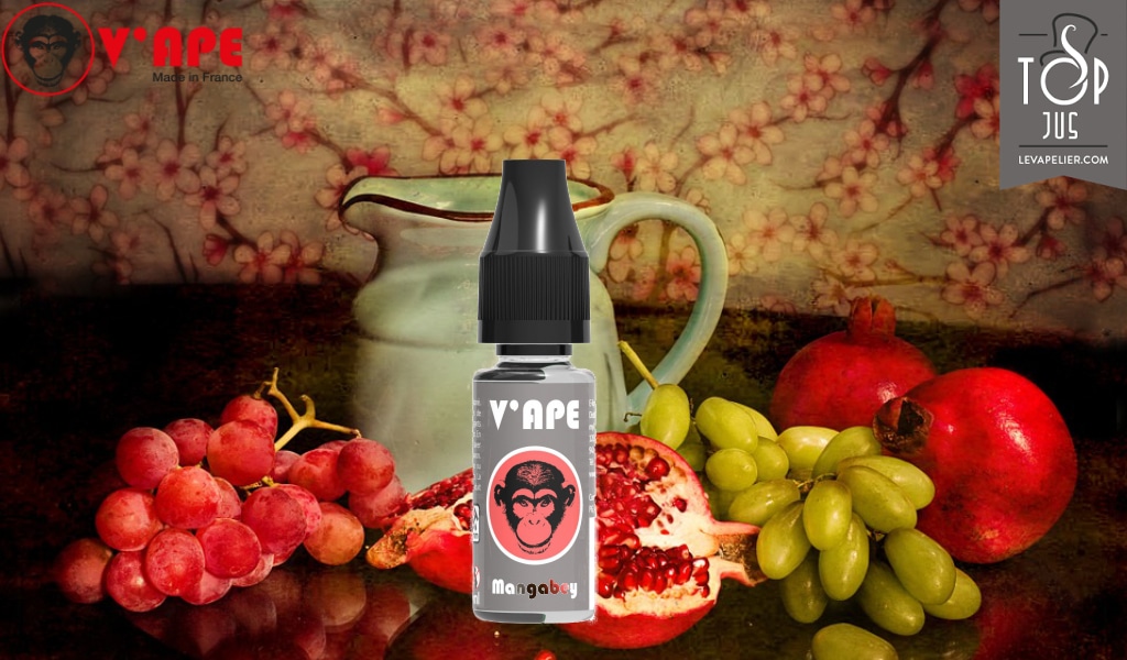 Mangabey (Gamme Grey) par V’ape