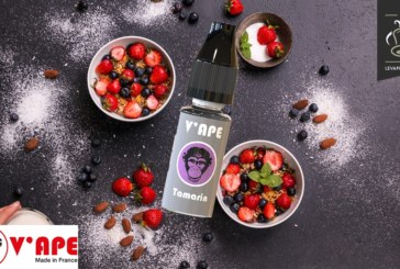 Tamarin (Gamme Grey) par V’ape