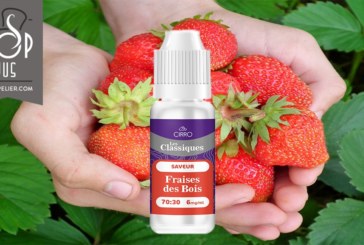 Fraises des Bois (Gamme Les Classiques) par Cirro
