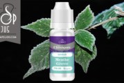 Menthe Givrée (Gamme Les Classiques) par Cirro