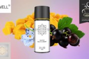 MANGO BLACKCURRANT par Mango Infinite