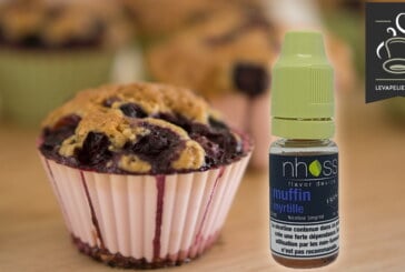 Muffin Myrtille par NHOSS