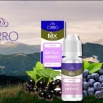 Myrtille Pyrénées par Cirro