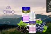 Myrtille Pyrénées par Cirro
