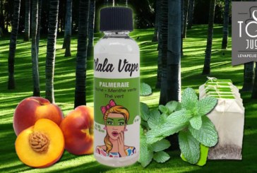 Palmeraie par OLALA VAPE