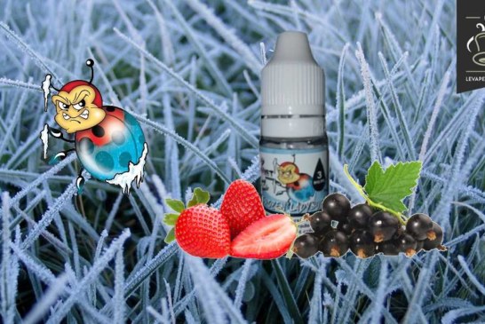 Frozen Ladybug (Gamme Vaping Animals) par Ohmist