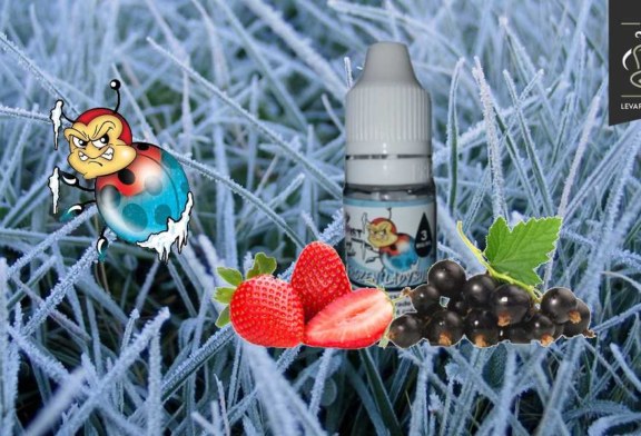 Frozen Ladybug (Gamme Vaping Animals) par Ohmist