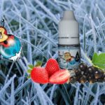 Frozen Ladybug (Gamme Vaping Animals) par Ohmist