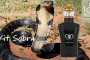 Kit Sobra 198W par Sigelei