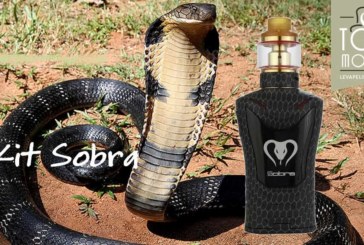 Kit Sobra 198W par Sigelei