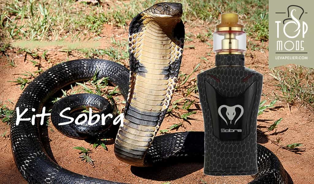Kit Sobra 198W par Sigelei