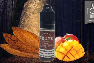Evening Wood (Gamme X-WOOD) par Ekoms