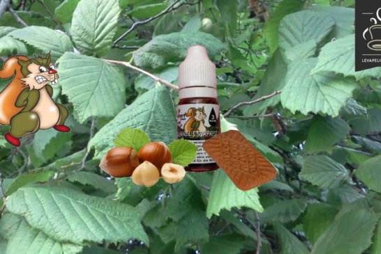 Squirrel’s Surprise (Gamme Vaping Animals) par Ohmist