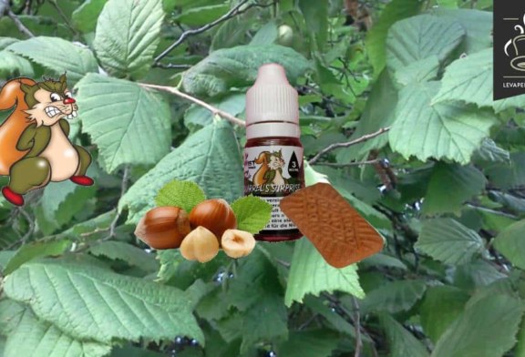 Squirrel’s Surprise (Gamme Vaping Animals) par Ohmist