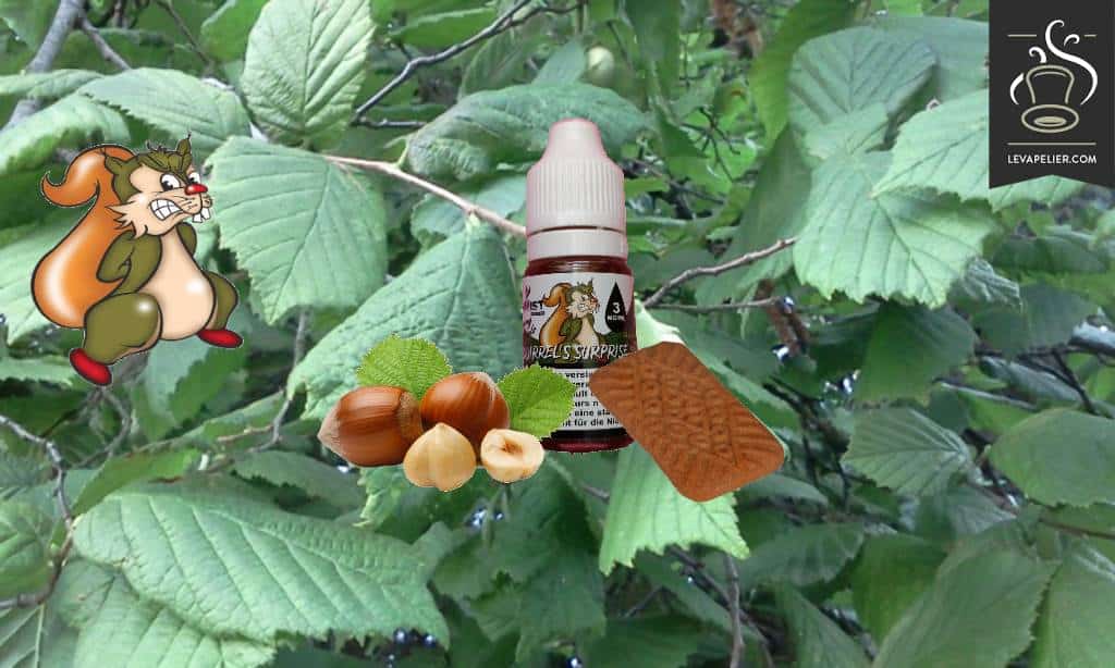 Squirrel’s Surprise (Gamme Vaping Animals) par Ohmist